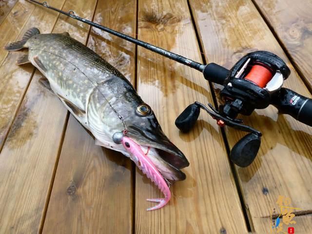 看图即会:水滴轮怎么操作不容易炸线,看看?