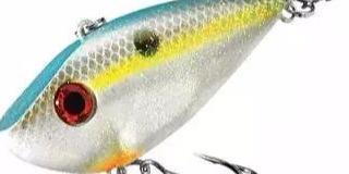 秋季夜钓路亚攻略，神饵排行榜技巧安全