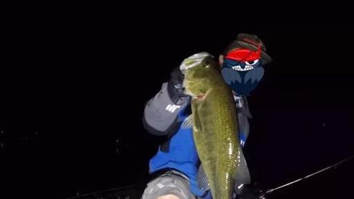 秋季夜钓路亚攻略，神饵排行榜技巧安全