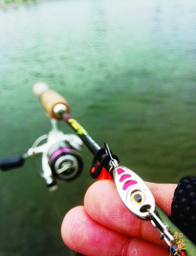 想要钓马口？路亚马口的3个实用技巧