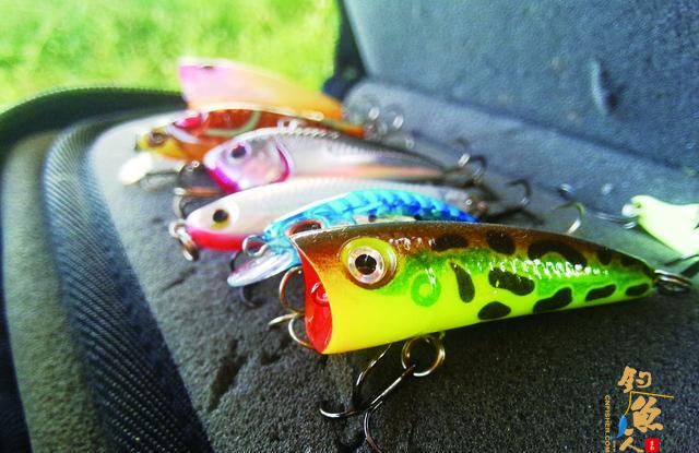 想要钓马口？路亚马口的3个实用技巧