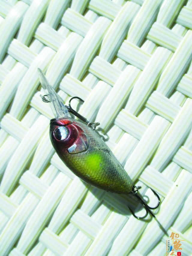 路亚翘嘴可以选用的拟饵种类很多，我来具体说说