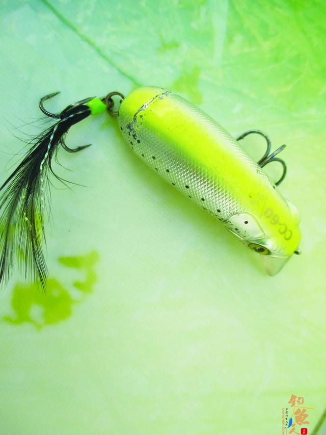 路亚翘嘴可以选用的拟饵种类很多，我来具体说说