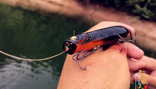 为什么路亚会钓到自己？