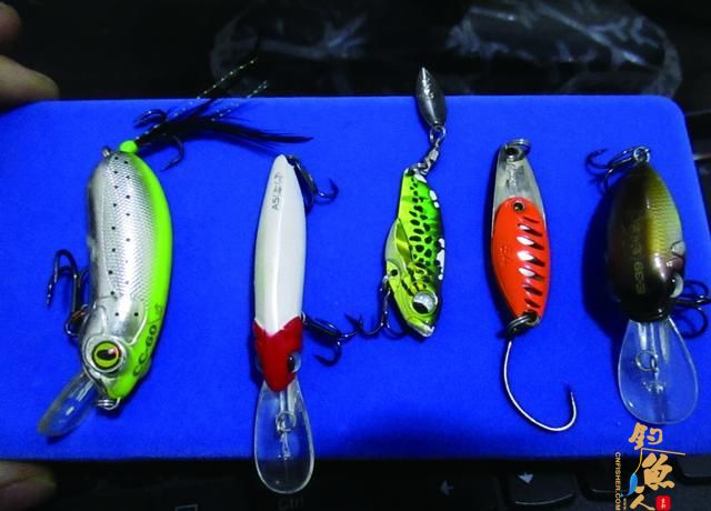 浑水路翘，我总结出四个心得，简单又实用