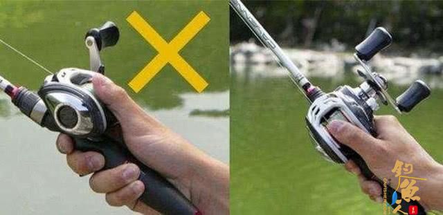 为什么国内路亚总是钓不到鱼，需要克服哪些难关