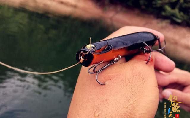 为什么国内路亚总是钓不到鱼，需要克服哪些难关