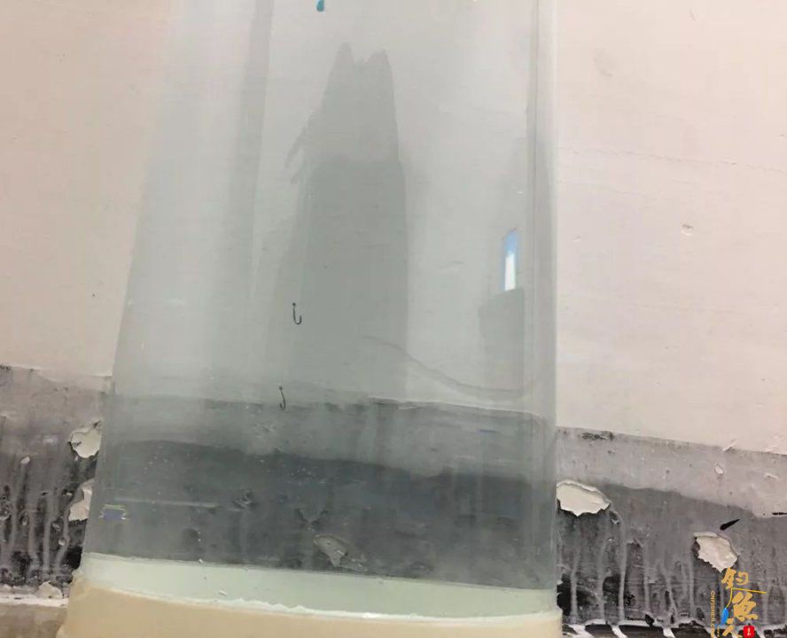 非常详细的调漂教程!以调四钓二为例,看图就能学会