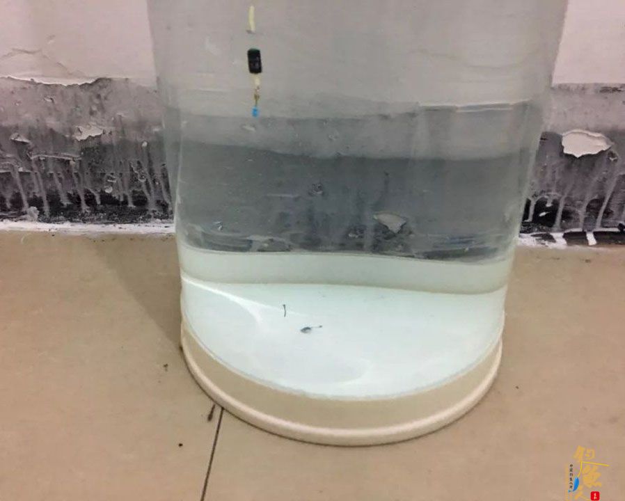 非常详细的调漂教程!以调四钓二为例,看图就能学会