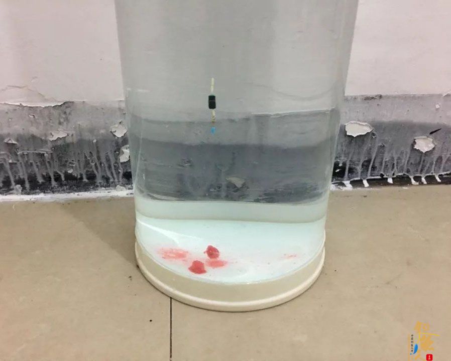 非常详细的调漂教程!以调四钓二为例,看图就能学会