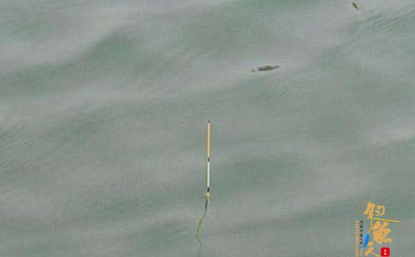 钓鱼调漂都是调四钓二，双饵在水底状态一样吗？