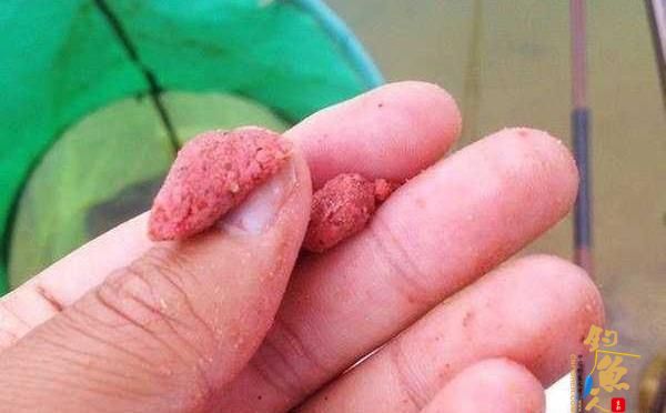 钓鱼调漂:都是调几钓几,双饵状态一样吗