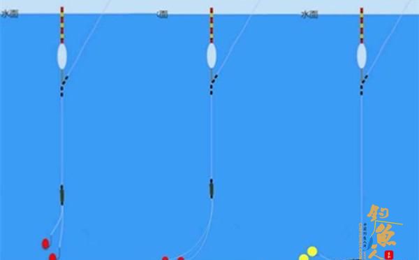 钓鱼调漂:都是调几钓几,双饵状态一样吗