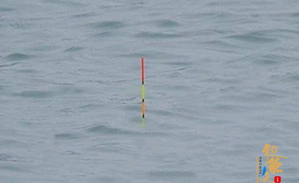 钓鱼调漂技巧：调四钓二，有哪些误区？