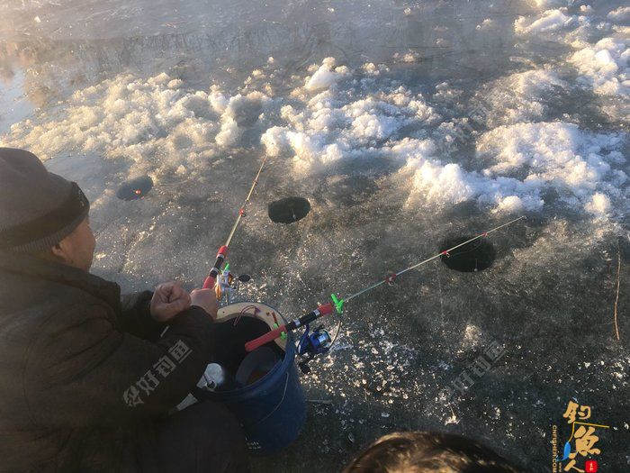 调四钓二是什么？怒怼调四钓二