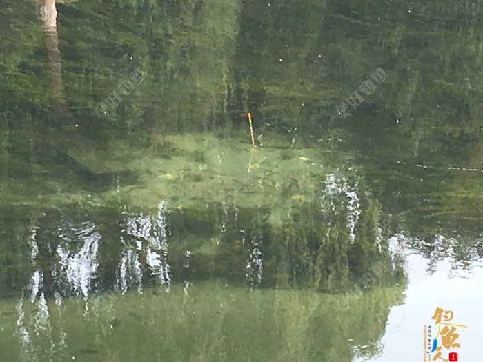 调四钓二是什么？怒怼调四钓二