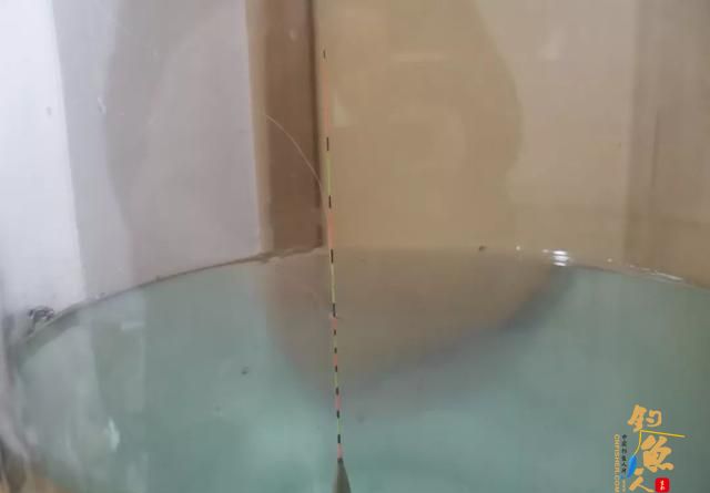 同样是调四钓二，1号浮漂和2号浮漂有何不同