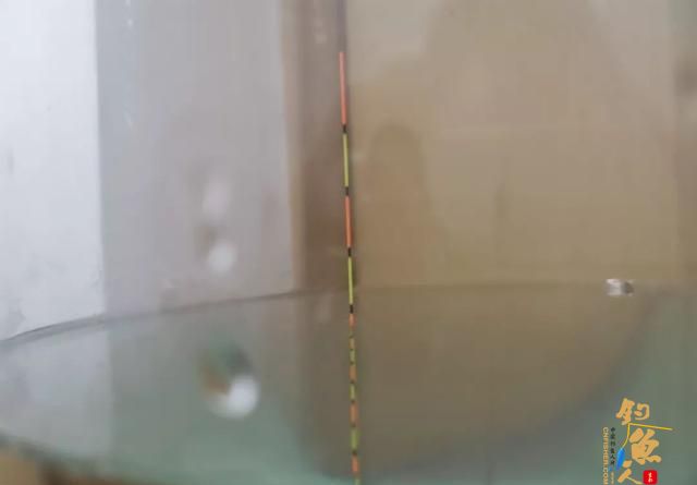 同样是调四钓二，1号浮漂和2号浮漂有何不同