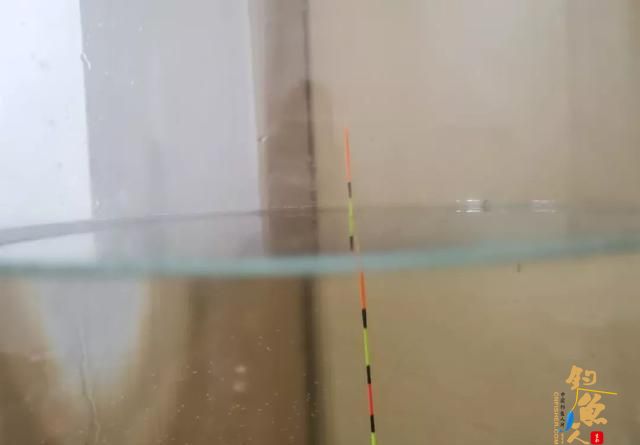 同样是调四钓二，1号浮漂和2号浮漂有何不同