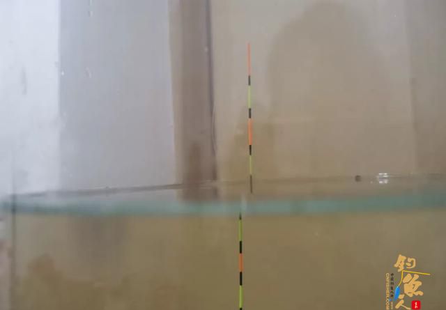 同样是调四钓二，1号浮漂和2号浮漂有何不同
