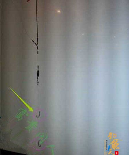 台钓鲢鳙鱼的三种自创调漂方法 图4 垂钓对象鱼的大小做相应的调整