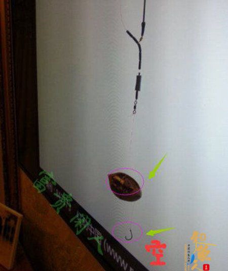 台钓鲢鳙鱼的三种自创调漂方法 图7