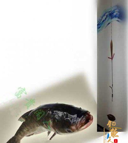 台钓鲢鳙鱼的三种自创调漂方法 图8
