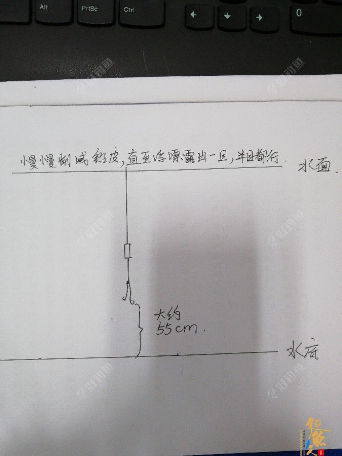 什么是半水调漂,半水调漂之我见,配图