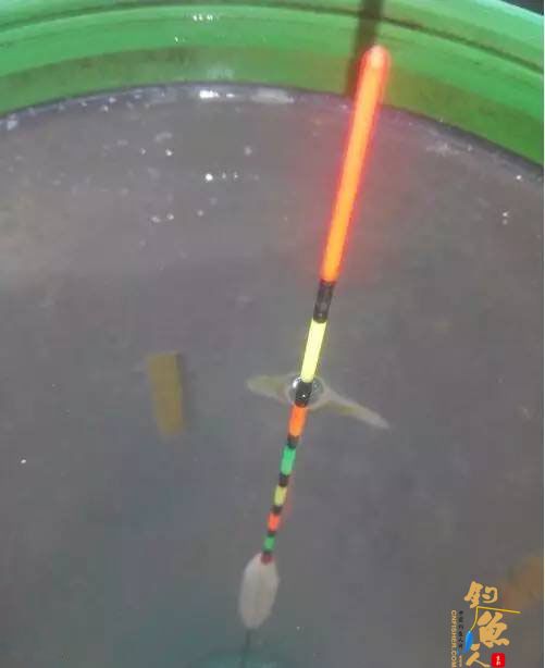 半水调漂挂蚯蚓饵的7个步骤