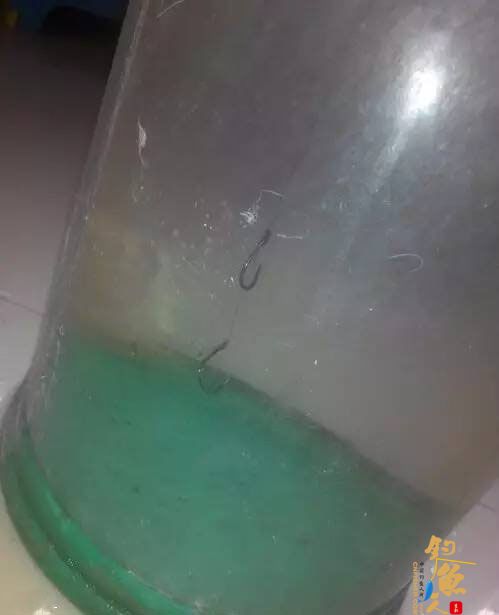 第一步、铅皮调整好，空钩。浮漂是平水，两支钩悬浮在水里