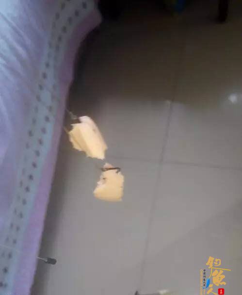 半水调漂第四步、我们在钩上挂两个饵