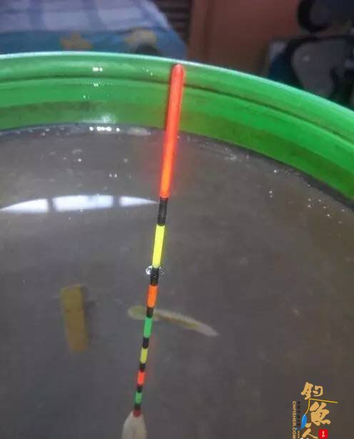 半水调漂 第五步、我们把带饵的线组投入水里