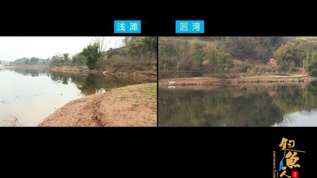 春季钓鲫的窝料搭配与找底技巧