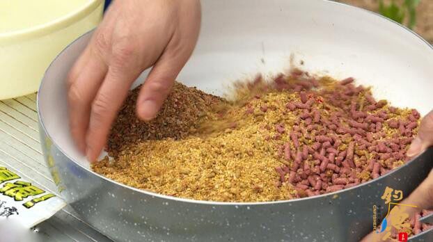 春季钓鲫的窝料搭配与找底技巧