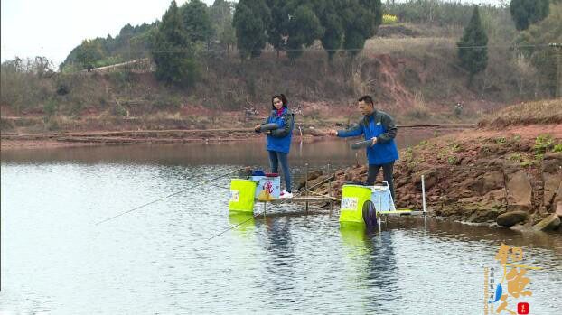 春季钓鲫的窝料搭配与找底技巧