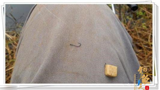 野钓用小橡皮块找底的方法