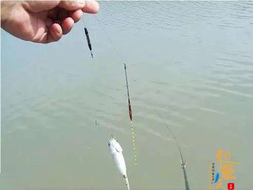 野钓用小橡皮块找底的方法