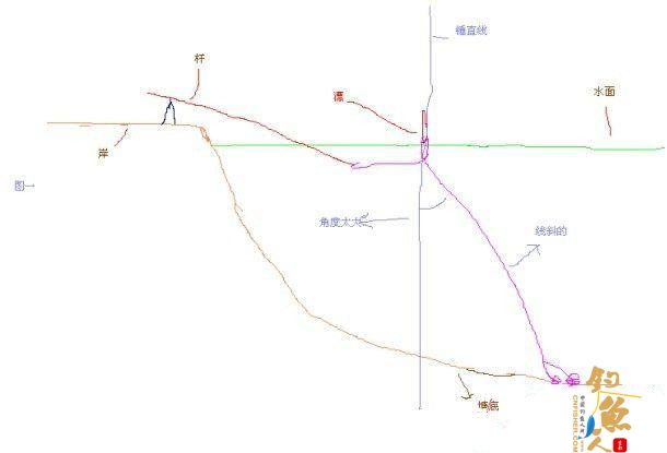 台钓压线动作信号与找底的影响