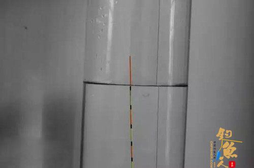 简单通用的台钓调漂方法 二、挂双饵测目