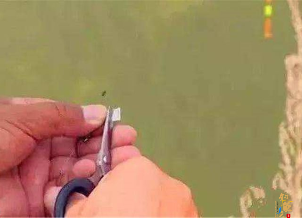 钓鱼怎么调漂和找底，这四个步骤让你一目了然