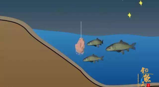 钓鱼调漂和找底技巧，老司机的小秘诀