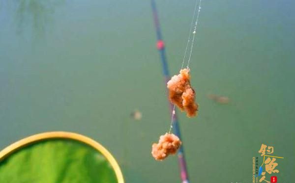 用拉饵钓鱼应该如何调漂？判断双饵到底还是单饵到底