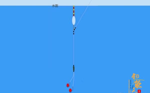 用拉饵钓鱼应该如何调漂？判断双饵到底还是单饵到底