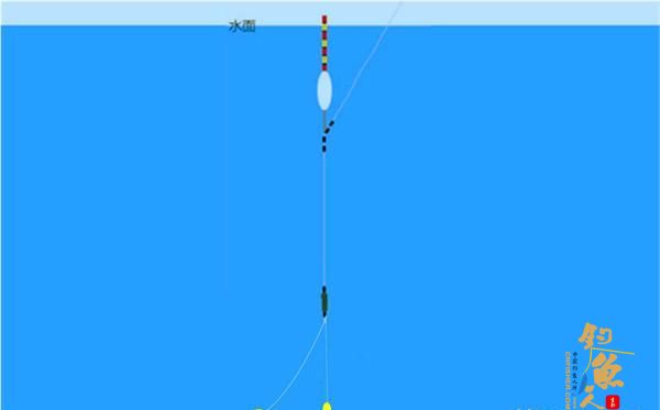 用拉饵钓鱼应该如何调漂？判断双饵到底还是单饵到底