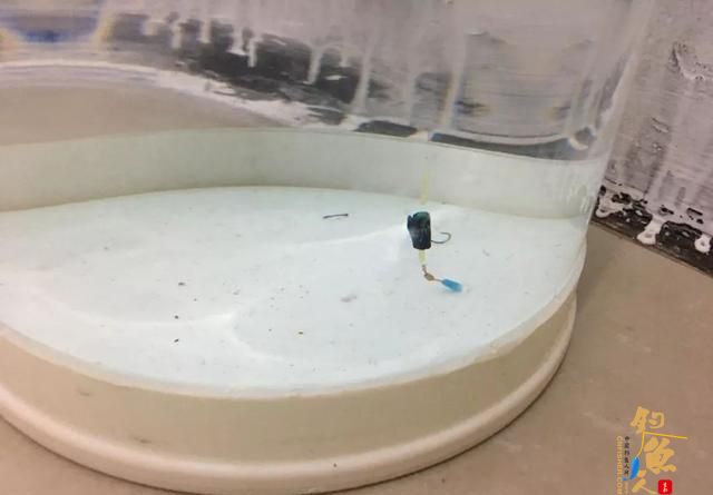 避免找底环节出错，这些调漂经验要看看