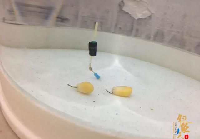 避免找底环节出错，这些调漂经验要看看