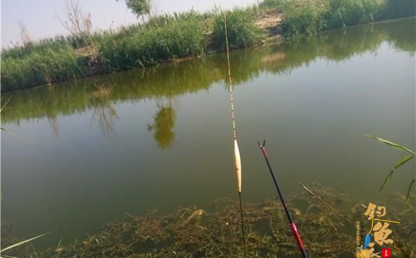 调漂技巧：判断是否到底，有公式-带线找底，空钩找底