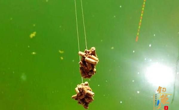 麻团钓，包食钓，浮漂应该怎么调漂