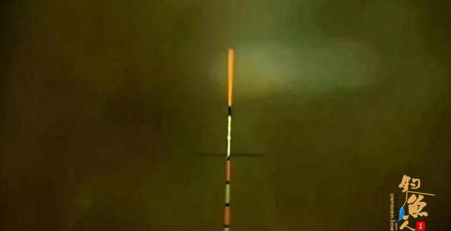 钓鱼调漂找底没那么难，只要避免下面2个错误就行