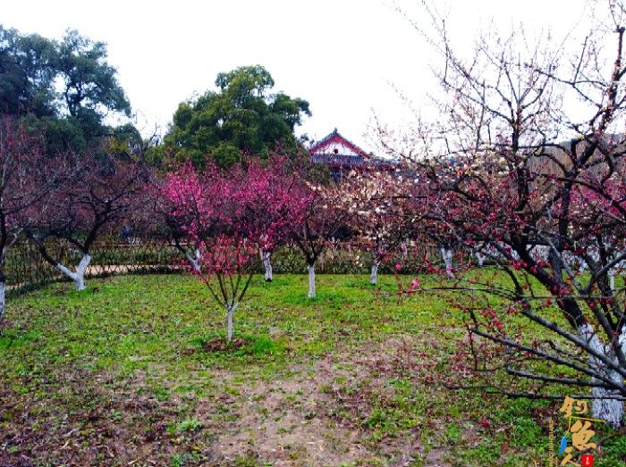 不同的作钓水域，是如何来前期找底与调钓，顺便给大家欣赏我拍的片片